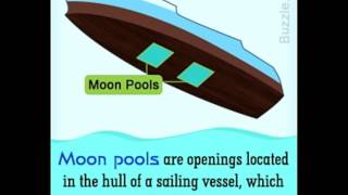 What is a Moon Pool and How Does it Work [upl. by Aihsekat]