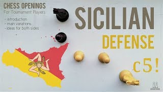 Sicilian Defense introduction ideas amp variations ⎸Chess Openings [upl. by Bollen]