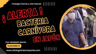 Bacteria come carne en Japón S pyogenes Ep 56 [upl. by Sanford]