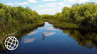 Everglades National Park Florida USA Amazing Places 4K [upl. by Annoda740]