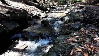 Famous Babbling Brook now in HD and Stereo [upl. by Netsirc]