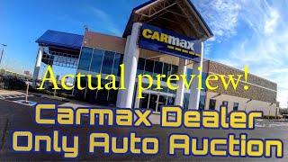 Carmax auction actual preview 1142023 [upl. by Epillihp]