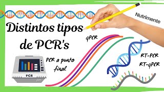 Distintos tipos de PCRs PCR  RTPCR  qPCR  RTqPCR [upl. by Dola]