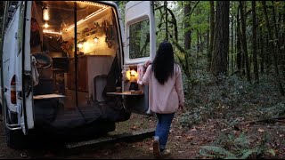 Solo Van Camping in Peaceful Woods Relaxing [upl. by Plath]