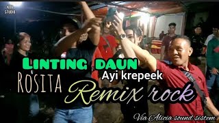 Linting daun  Rosita  Remix dhut [upl. by Sirovaj]