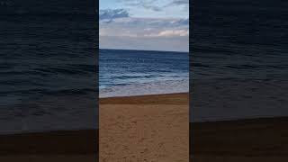 Balade et belles vagues à la Plage SaintEnogat 🌊 Short video 4k 2024 [upl. by Vi]