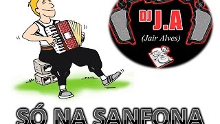 SÓ NA SANFONA  DJ JAIR ARAXÁ [upl. by Phaedra489]