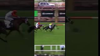 DERBY PRELUDE BIG WINNER horseracing sporthorses horsesports [upl. by Dabney]