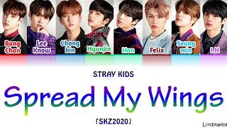 Stray Kids quotSPREAD MY WINGSquot SKZ2020 colorcodedlyrics HanRomEng [upl. by Osanna]