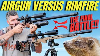 RIMFIRE VERSUS AIRGUN HUNTING I THE FINAL BATTLE I AIRGUN HUNTING PEST CONTROL I RIMFIRE HUNTING [upl. by Fraser346]