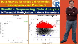 Bisulfite Sequencing Data Analysis Differential Methylation in Gene Promoters [upl. by Obeng]