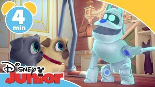 Hvalpevenner  Den nye robothund  Disney Junior Danmark [upl. by Lock]