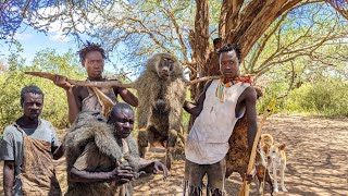 Hadzabe Tribe Made It Again With BIG BABOON the life of the hunter [upl. by Butta739]