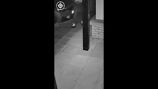 Thief Caught On CCTV Peforming Another Relay Attack [upl. by Maffa819]