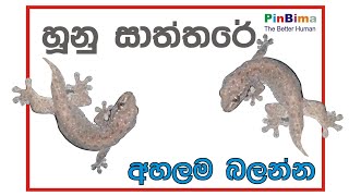 Hunan Angata Vetime Palapala හූනන් ඇඟට වැටීමේ පලාපල [upl. by Ammon813]