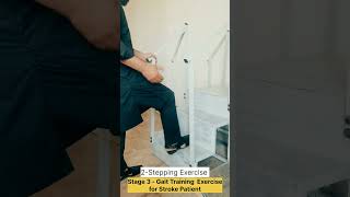 Mastering Level 3 Gait Training Transforming Stroke Recovery 😍 [upl. by Dolphin148]