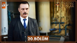 Kanatsız Kuşlar 20 Bölüm [upl. by Zingale872]