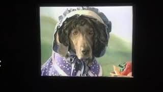 Sesame Street William Wegman To Market Nursery Rhymes 1999 [upl. by Dirtsa]