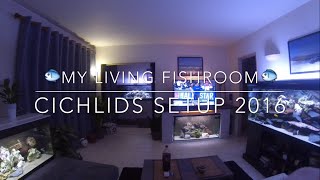 My living Fishroom of Malawi Cichlids  setup 2016  550 gallons  Filmed with GoPro HD [upl. by Jocelin]