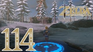 Lets Play Zelda Breath of the Wild GermanBlind114 Windschutz [upl. by Torrin]