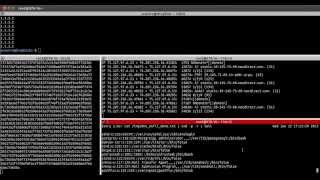 DNS Exfiltration POC [upl. by Naerda]