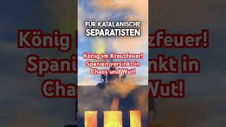 König im Kreuzfeuer Spanien versinkt in Chaos und Wut [upl. by Eva]