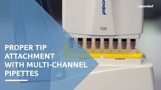 Proper Tip Attachment with Eppendorf MultiChannel Pipettes featuring SpringLoaded Tip Cones [upl. by Nilkoorb111]