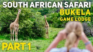 South Africa Safari Bukela Game Lodge Amakhala Game Reserve South Africa 2020 Part 1 [upl. by Card292]