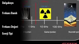 Esen Yayınları Animasyonları Elektromanyetik Dalgalar  Electromagnetic Waves 12 Sınıf [upl. by Kuhlman]