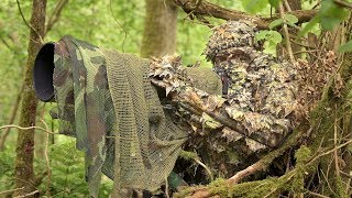 BIRD PHOTOGRAPHY in the forest  Wildlife photography behind the scenes  Nikon Z7 FTZ camouflage [upl. by Etteraj]