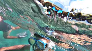 Snorkeling at Three Tables North Shore Hawaii [upl. by Aicemat]