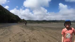 Exploring the stunning beauty of Bethells Beach part 3🌊✨ BethellsBeach NZAdventures BeachVibes [upl. by Truda]