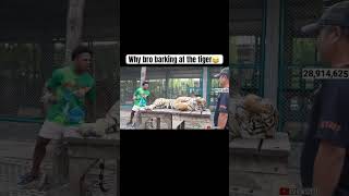 Speed barking infront of tiger 😂 ytshorts ishowspeed thailand [upl. by Persas]