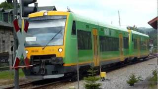 Stadler RegioSchuttle RS1 Waldbahn [upl. by Kopans]