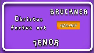 Tenor  Christus Factus Est  Bruckner [upl. by Somar57]