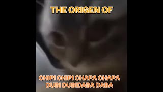 CHIPI CHIPI CHAPA CHAPA CAT 24 HOURS [upl. by Azmah]