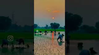 Tuzyat jiv rangla title song trendingshorts प्रकृतिlove nature [upl. by Chak]