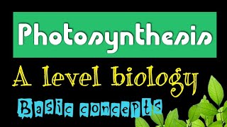 Photosynthesis A Level Biology  BASIC CONCEPTS PART 1 [upl. by Dinan]