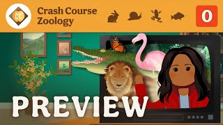 🦀 Crash Course Zoology Preview [upl. by Ilarrold]