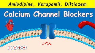 Calcium Channel Blockers  Amlodipine Verapamil Diltiazem [upl. by Nahsar]