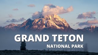 36 Hours in Grand Teton National Park Chasing Wildlife and Fall Colors [upl. by Eneleh379]