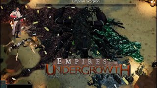 empires of the under growth update ep2 Matabele ants [upl. by Zicarelli516]