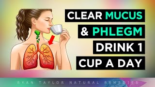 DRINK 1 CUP To Clear Phlegm amp Mucus from Throat Lungs amp Airways [upl. by Arivle561]