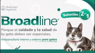 Broadline antiparasitario interno y externo de uso en gatos disponible en asistirveterinariacom [upl. by Waltner]