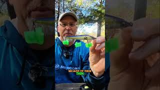 Master Your Fishing Best Baits for Every Season [upl. by Llenehc]