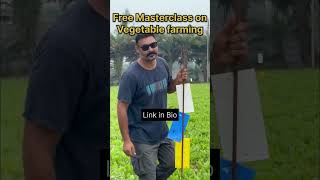 Cheap and effective solution for pests in farming [upl. by Karlene]