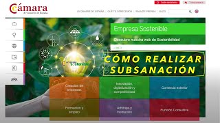 📝 ✅ Cómo realizar Subsanación en la Sede Electrónica de la Cámara de Comercio [upl. by Eidda]