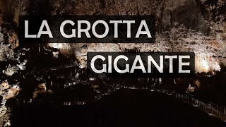 La Grotta Gigante [upl. by Portwin]