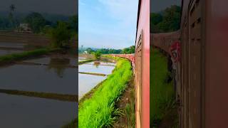 Sri Lanka Train🚆 අම්මෝ ඒකෙ දිග 😯😍 travel nature trending srilanka viral [upl. by Groos]