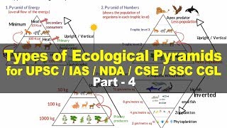 Types of Ecological Pyramids  Energy Biomass Numbers  Environment and Ecology for UPSC Part 4 [upl. by Takeo154]